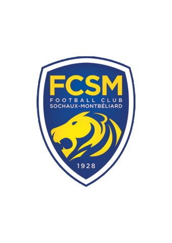 Ligue2BKT giphyupload football l2 fcsm Sticker