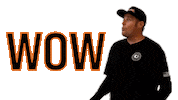 Ford Wow Sticker by RuffStuff Specialties