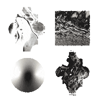 3D Moving Sticker by Element Talks