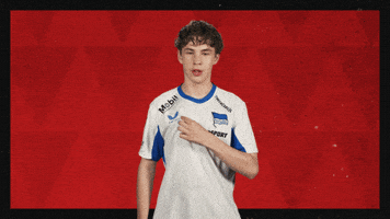 Hertha Bsc Football GIF by Bundesliga