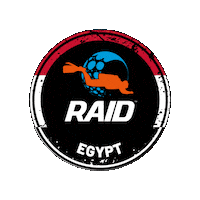 Raid Sticker by DiveRAID