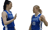 Sport Basketball Sticker by Basket_fi