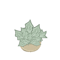 BuildBuilt plants leaves decor pot Sticker