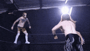 SHWAWrestling wrestling dive perth pro wrestling perth wrestling GIF