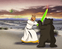 Bear Market GIF by Camel Dad