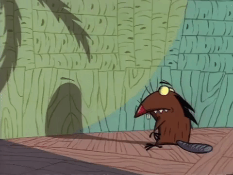 nickrewind giphydvr nicksplat angry beavers giphyab010 GIF