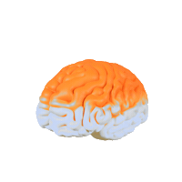 Elsevier nurse back to school nursing elsevier Sticker