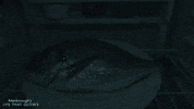 fish glowing GIF by BBC Earth