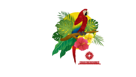 roteirobonitoms giphyupload Sticker