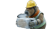 Delivery Capybara Sticker