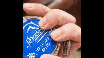 Horse Jumping GIF by Sé el Jefe