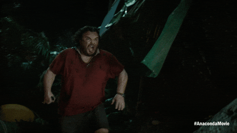 Celebrate Paul Rudd GIF by Sony Pictures