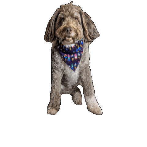 Pride Dog Sticker by Geekster Pets