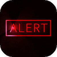 Be Happy Joe Biden GIF by MomentSQ