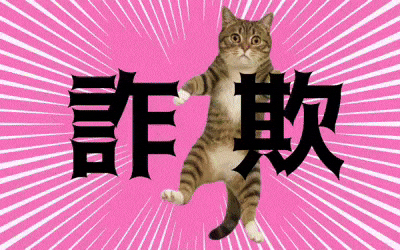 Cat Warning GIF
