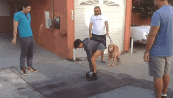 news tech GIF