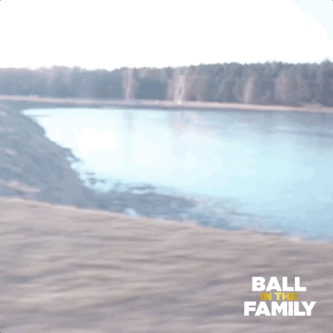 season 3 travel GIF by Ball in the Family