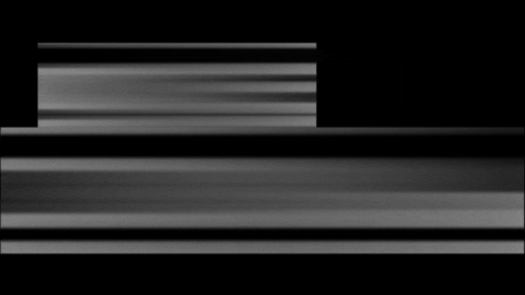 GIF by Catorce Días