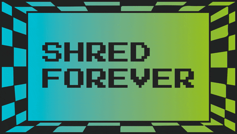 SheShredsMedia giphyupload music guitar bass GIF