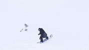 Travel Adventure GIF by Rahi