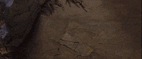Coming Stop Motion GIF by LAIKA Studios
