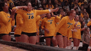 Ace Middleton GIF by NDSU Athletics