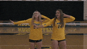 Volleyball Johnson GIF by NDSU Athletics