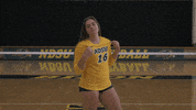 Volleyball Bison GIF by NDSU Athletics