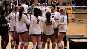 Dance Middleton GIF by NDSU Athletics