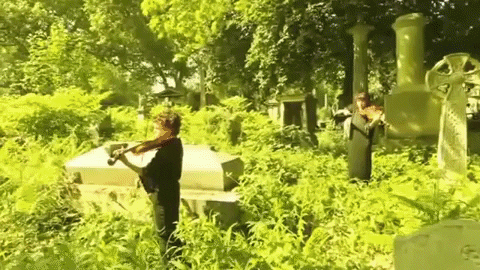GIF by Database數據