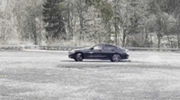 premiumplus car donut teambuilding kristof GIF
