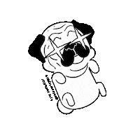 Dog Halloween Sticker by Kyle Samuels