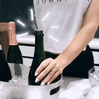 rydehouston ryde GIF