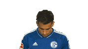 Schalke S04 Sticker by Bundesliga
