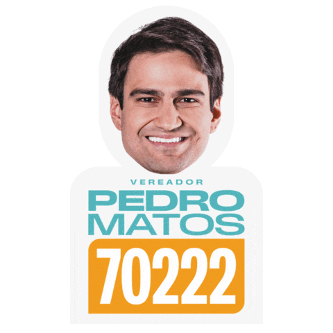 Pt Vereador Sticker by Pedro Matos