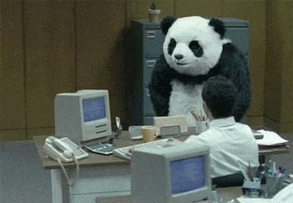 diewebag giphyupload angry panda stress GIF