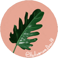Plant Sticker by Halaman Doon PH