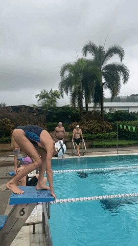 skillsnt giphyupload swim diving freestyle GIF