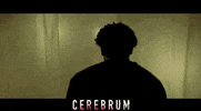 Horror Film Spider GIF by Signature Entertainment