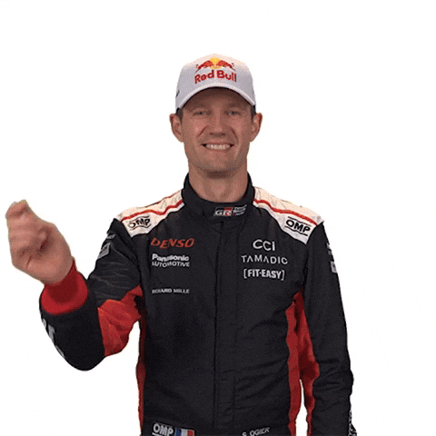 France Tricolore GIF by FIA World Rally Championship