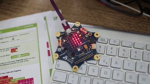 sandraschink giphyupload calliope calliopemini erminas GIF