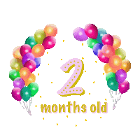 Party Months Sticker