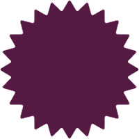 Corrida Leve Sticker by Leve Saúde