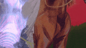 Music Video Horse GIF by Allison Ponthier