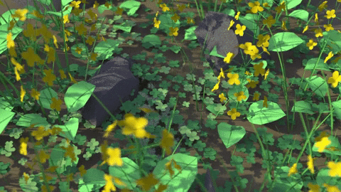 kodonkadonk giphyupload GIF