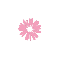 Scrapgami flower bow flor accessories Sticker
