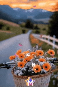 Dia Amigos GIF by Murcianys LLC