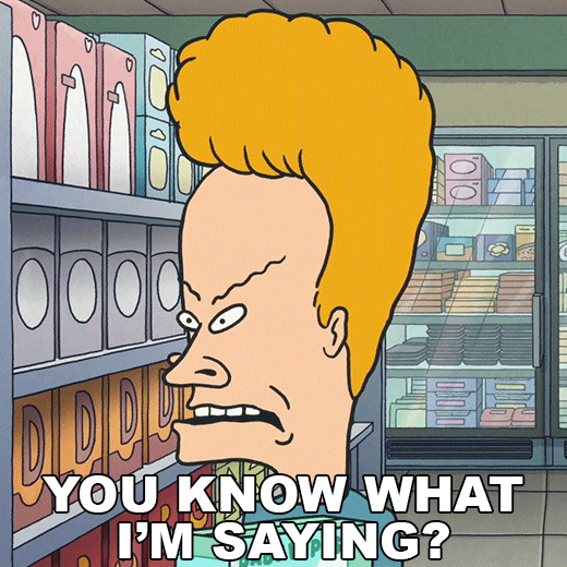Do You Understand Beavis And Butthead GIF by Paramount+