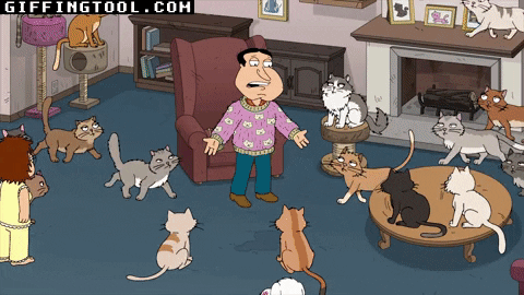giphyupload GIF