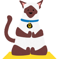 Yoga Cat Sticker by Chuze Fitness